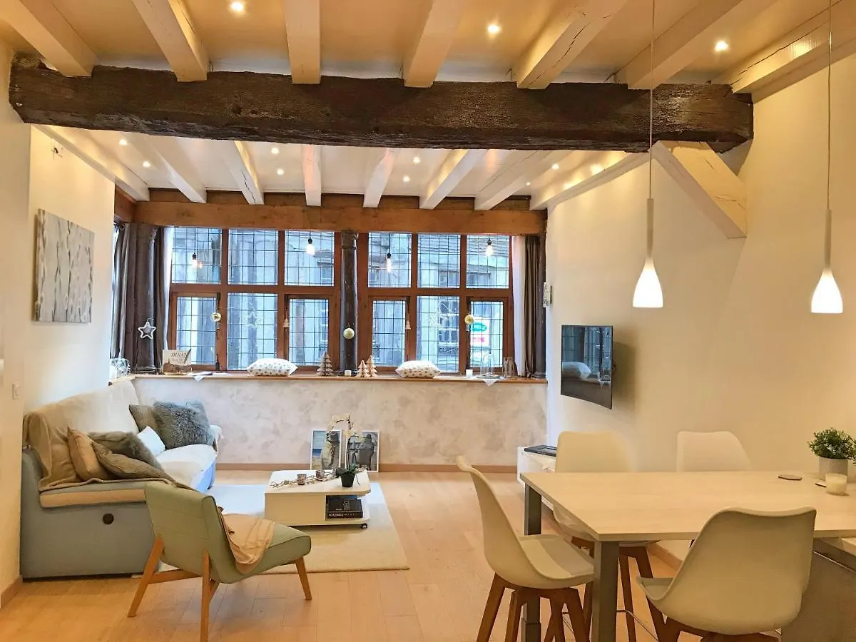 Magnifique Appartement De Charme Au Coeur Historique De Dinan